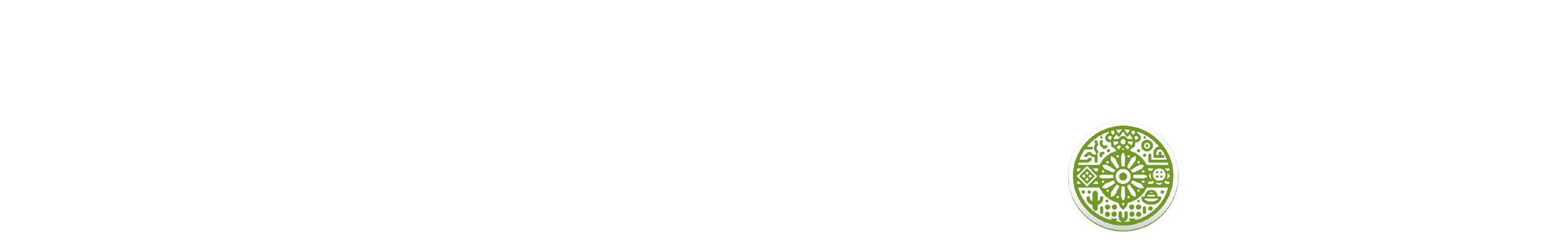 Visit México